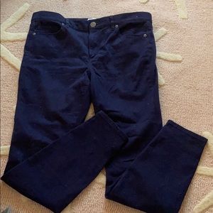 Loft Suede Navy Blue Leggings - Size Small